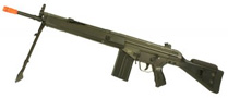 Designated Sniper Rifle
