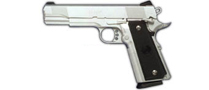 Western Arms SCW Para HRT Limited - Silver