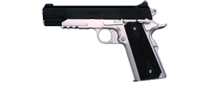 Western Arms TLE/RL Two-Tone